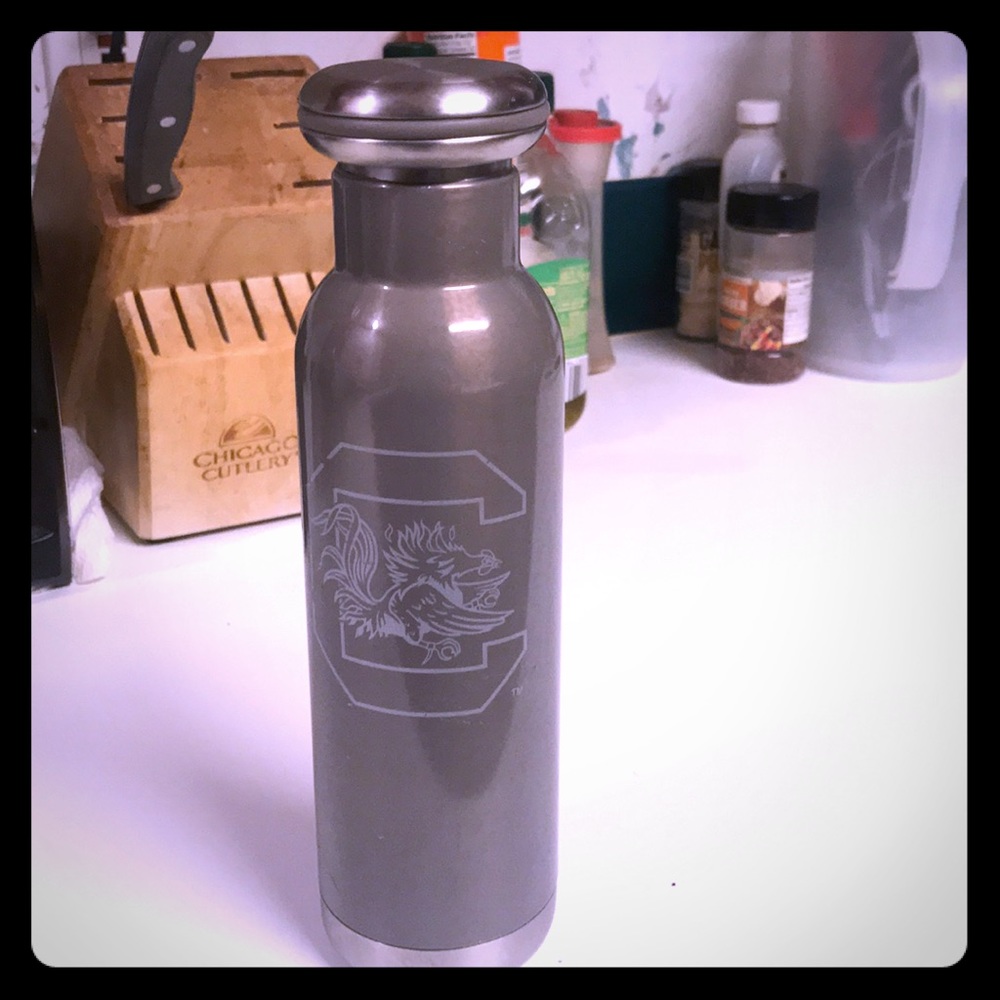 Insulated Water Bottle